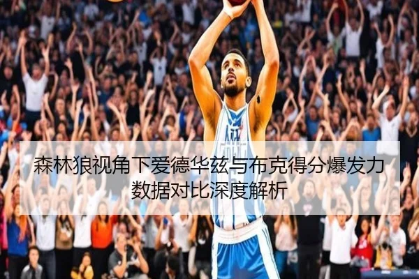 森林狼视角下爱德华兹与布克得分爆发力数据对比深度解析